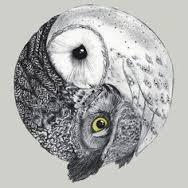 Researching a Metaphor- The Owl